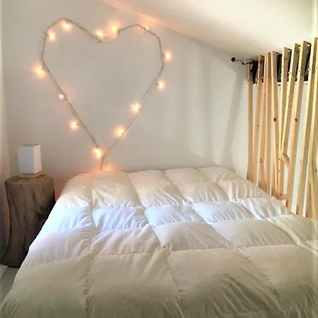 Grande Sur Jardin Dans Centre Apartment Montpellier